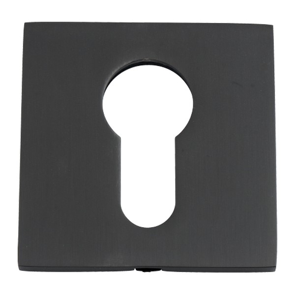 фото: Накладка на цилиндр VERGE CL-C