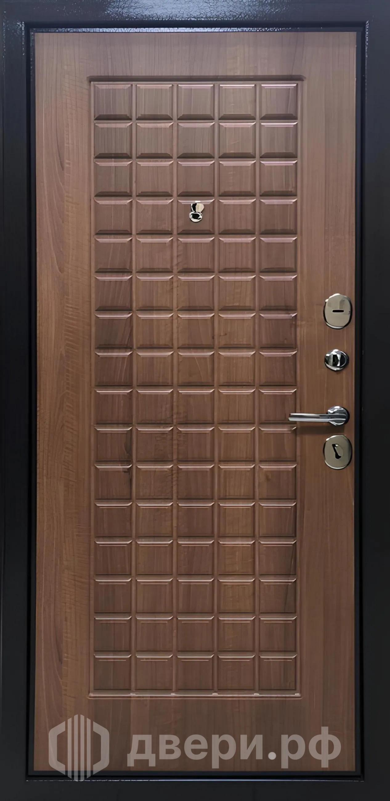 фото: Входная дверь TRUST ECO MP (RL-11)