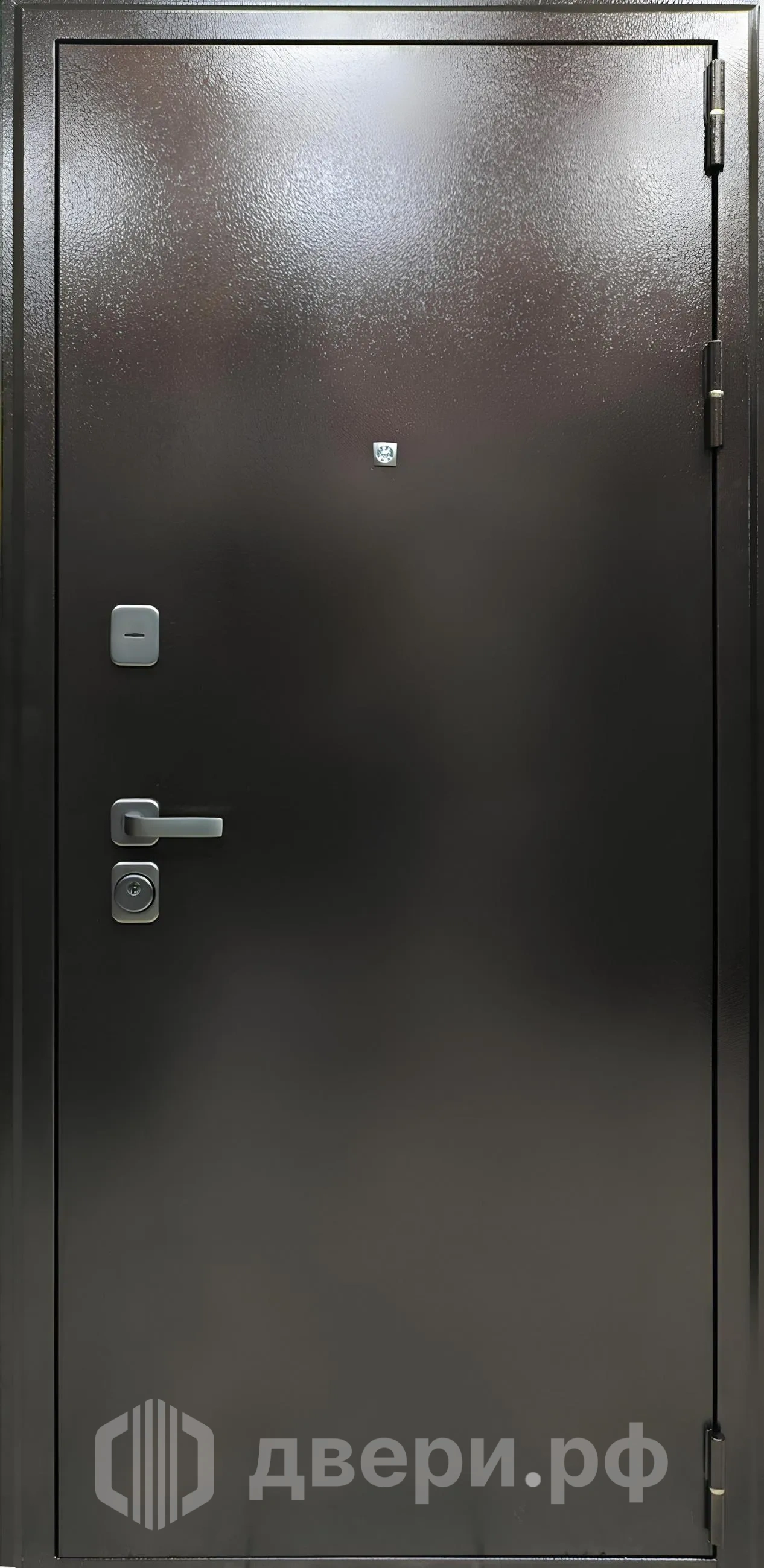 фото: Входная дверь Витязь №12.1