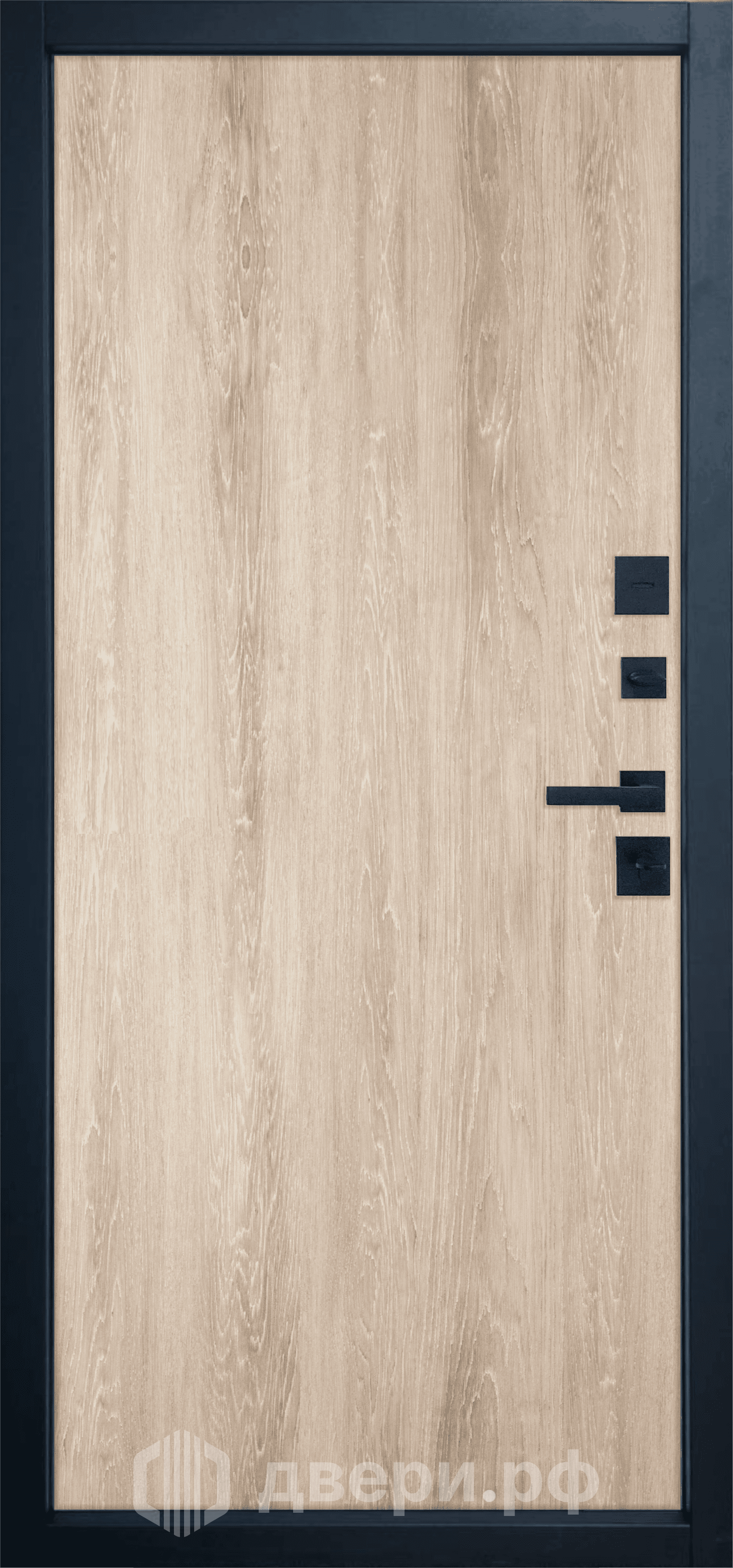 фото: Входная дверь Termo Strong 1