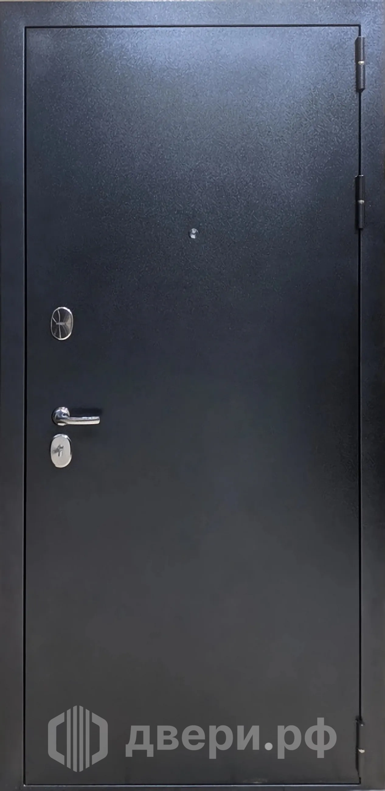 фото: Входная дверь Витязь Триумф