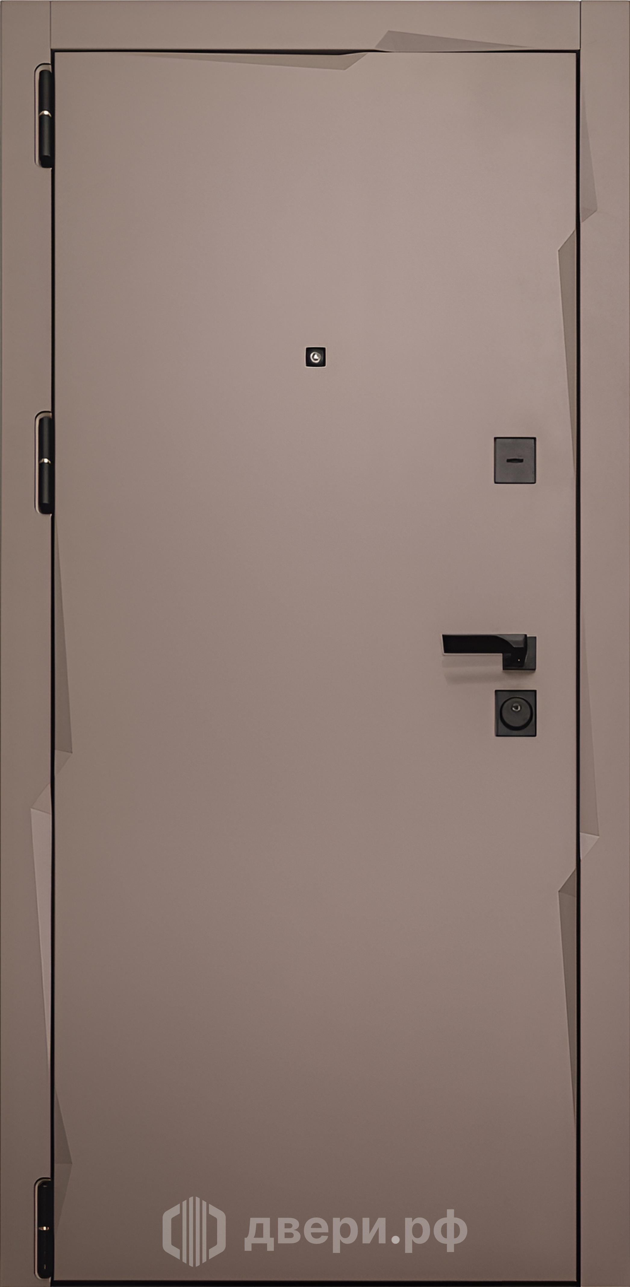 фото: Входная дверь Concept Pulse