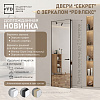 фото:  Межкомнатная дверь Invisible Секрет рефлекс (Зеркало с одной стороны) №1
