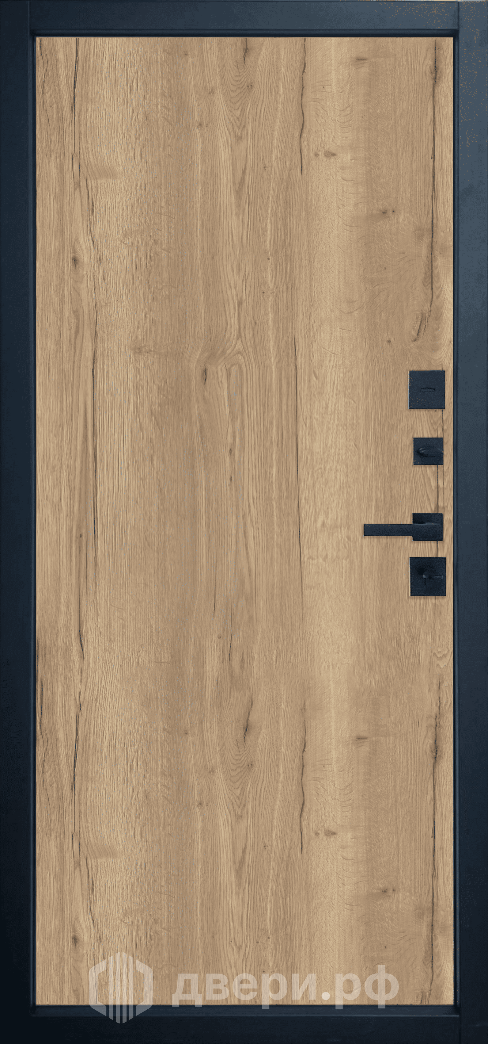 фото: Входная дверь Termo Strong 2