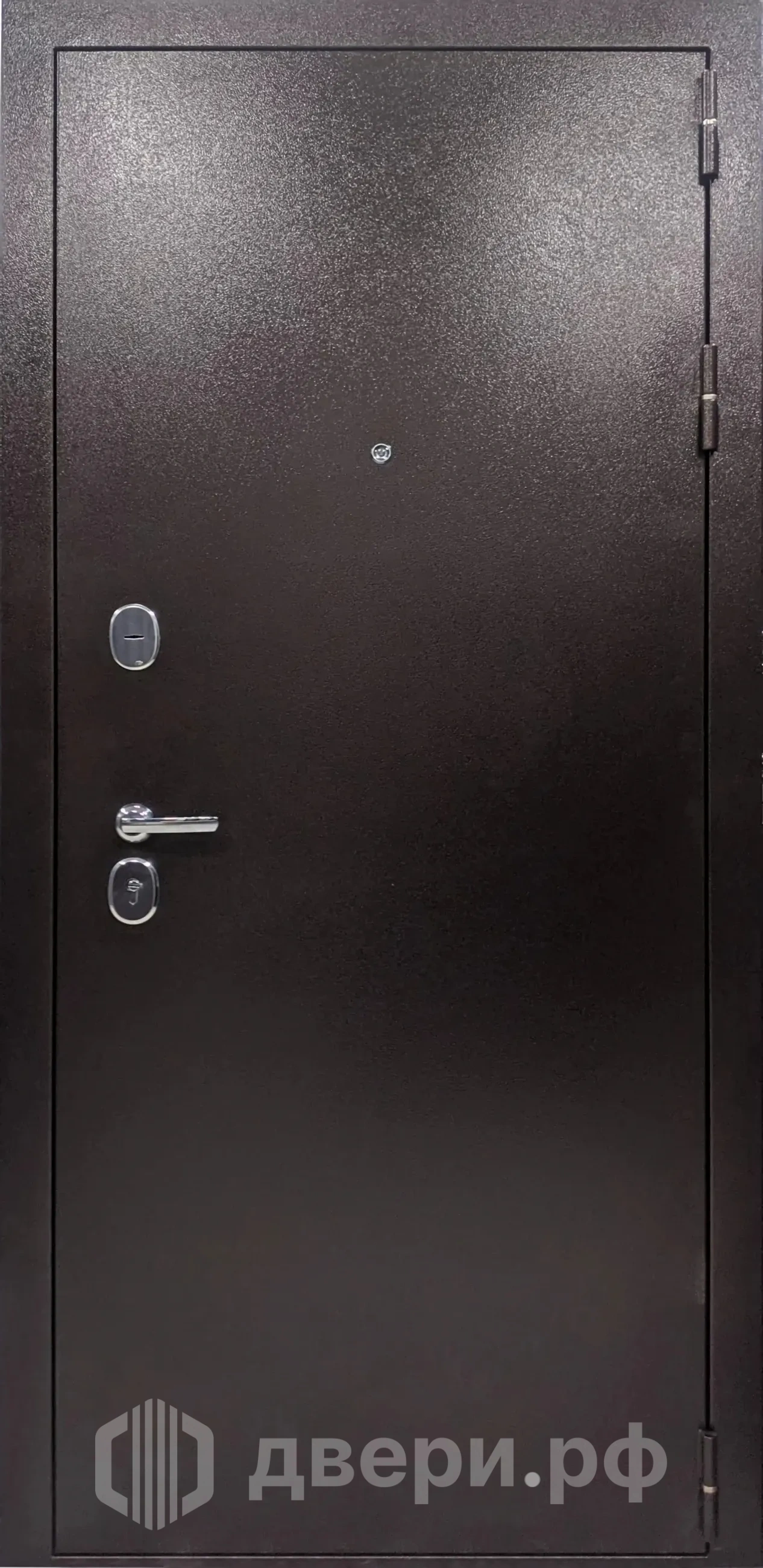 фото: Входная дверь Витязь Триумф