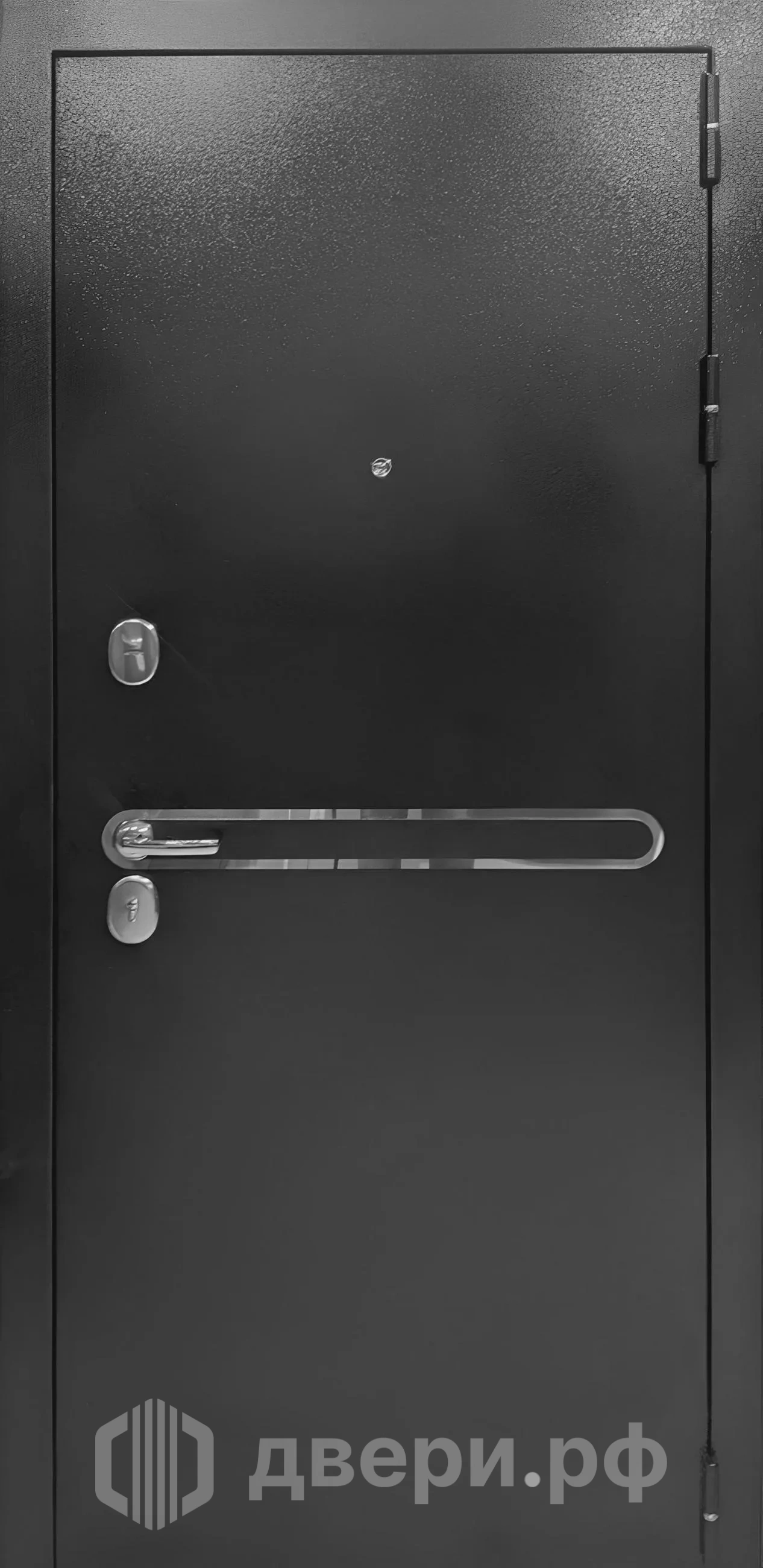 фото: Входная дверь Витязь Царга